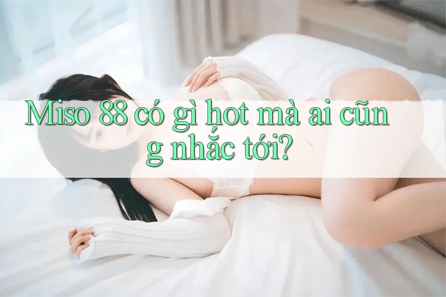 Miso 88 có gì hot mà ai cũng nhắc tới? Miso 88 có gì hot mà ai cũng nhắc tới?