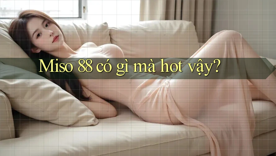 Miso 88 có gì mà hot vậy? Miso 88 có gì mà hot vậy?