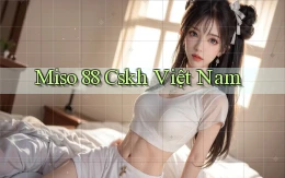 miso 88 cskh việt nam