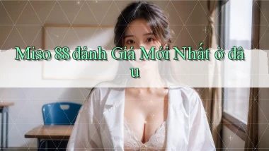 miso 88 đánh giá mới nhất ở đâu