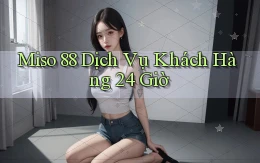 miso 88 Dịch vụ khách hàng 24 giờ
