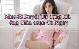 miso 88 duyệt tự động không gián đoạn cả ngày