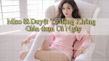 miso 88 duyệt tự động không gián đoạn cả ngày