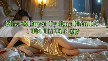 miso 88 duyệt tự động phản hồi tức thì cả ngày