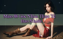 miso 88 góc nhìn thực tế bao nhiêu