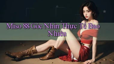 miso 88 góc nhìn thực tế bao nhiêu