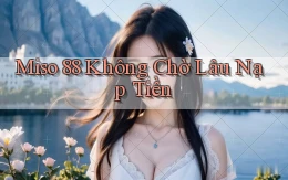 miso 88 không chờ lâu nạp tiền