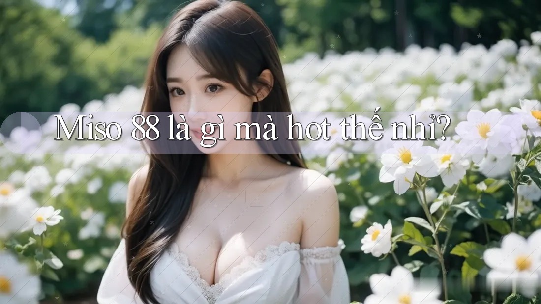 Miso 88 là gì mà hot thế nhỉ? Miso 88 là gì mà hot thế nhỉ?