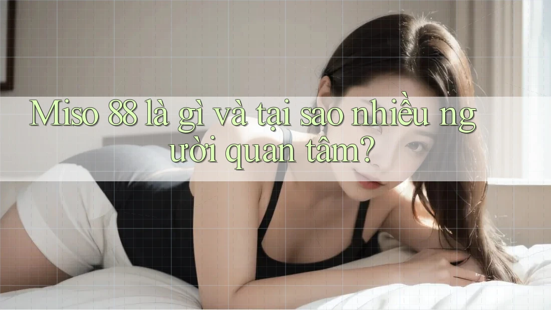 Miso 88 là gì và tại sao nhiều người quan tâm? Miso 88 là gì và tại sao nhiều người quan tâm?