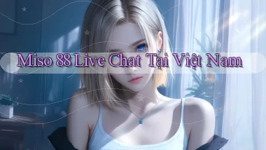 miso 88 live chat tại việt nam