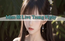 miso 88 live trong ngày