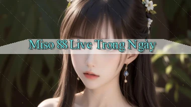 miso 88 live trong ngày
