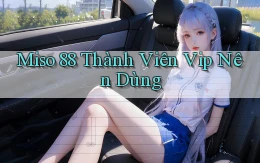 miso 88 thành viên vip nên dùng