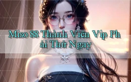 miso 88 thành viên vip phải thử ngay