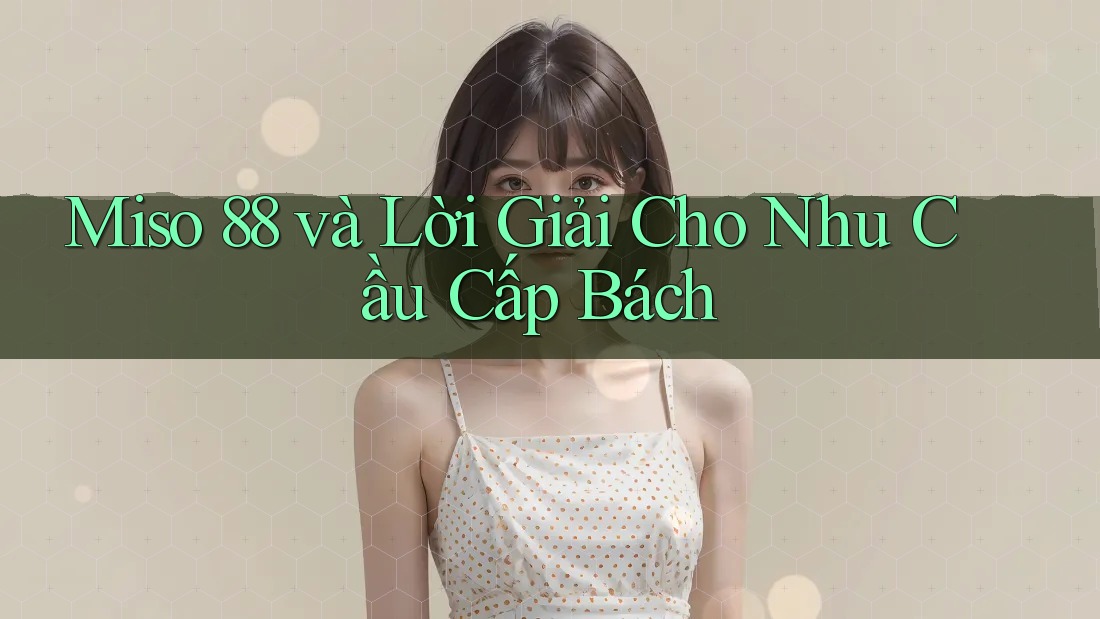 Miso 88 và Lời Giải Cho Nhu Cầu Cấp Bách Miso 88 và Lời Giải Cho Nhu Cầu Cấp Bách