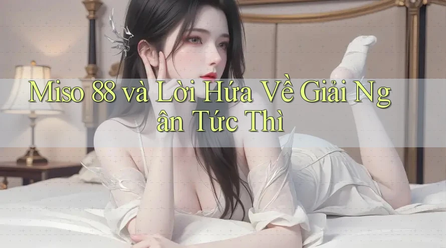 Miso 88 và Lời Hứa Về Giải Ngân Tức Thì Miso 88 và Lời Hứa Về Giải Ngân Tức Thì