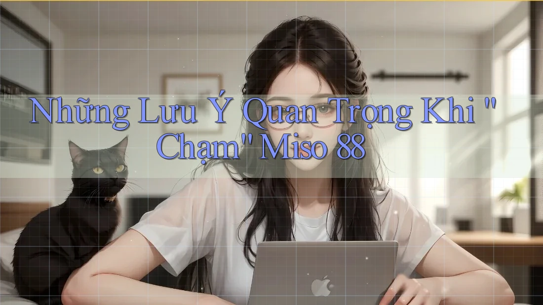 Những Lưu Ý Quan Trọng Khi “Chạm” Miso 88 Những Lưu Ý Quan Trọng Khi “Chạm” Miso 88