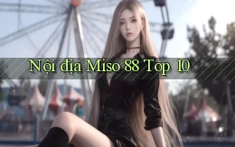 nội địa miso 88 top 10