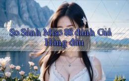 so sánh miso 88 đánh giá hàng đầu