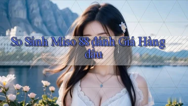 so sánh miso 88 đánh giá hàng đầu