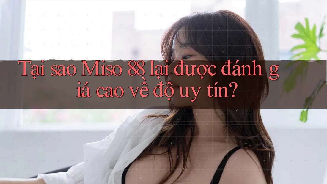 Tại sao Miso 88 lại được đánh giá cao về độ uy tín?