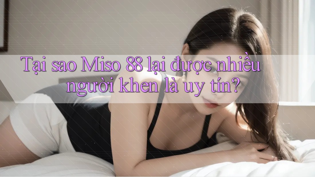 Tại sao Miso 88 lại được nhiều người khen là uy tín?
