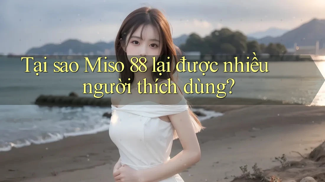 Tại sao Miso 88 lại được nhiều người thích dùng? Tại sao Miso 88 lại được nhiều người thích dùng?