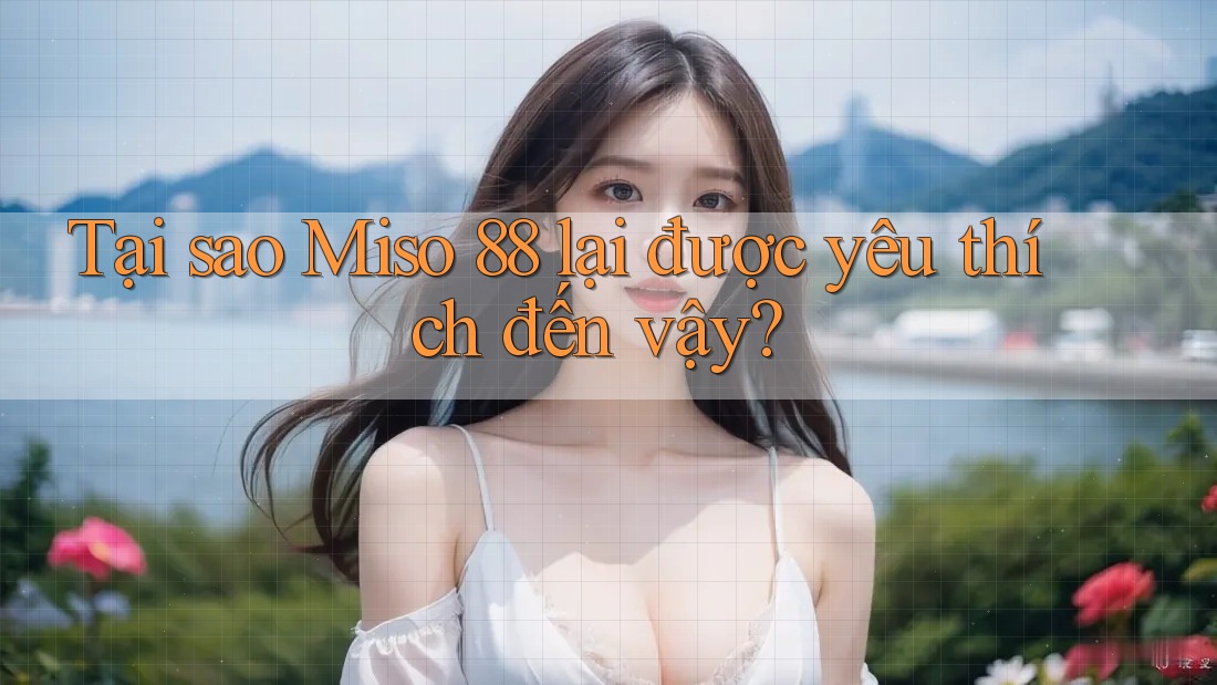 Tại sao Miso 88 lại được yêu thích đến vậy? Tại sao Miso 88 lại được yêu thích đến vậy?