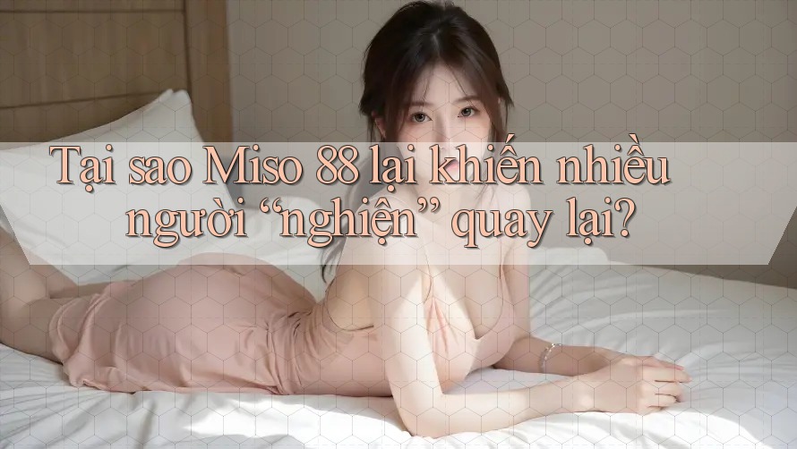 Tại sao Miso 88 lại khiến nhiều người “nghiện” quay lại? Tại sao Miso 88 lại khiến nhiều người “nghiện” quay lại?