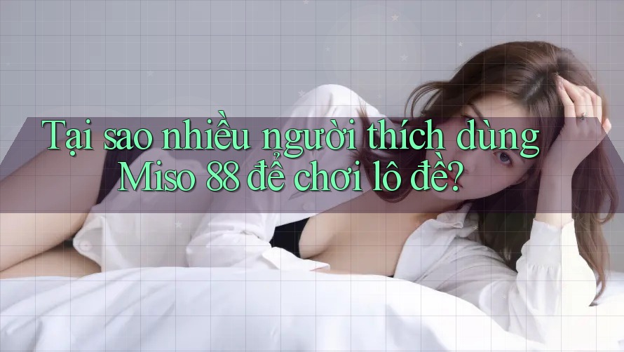 Tại sao nhiều người thích dùng Miso 88 để chơi lô đề? Tại sao nhiều người thích dùng Miso 88 để chơi lô đề?