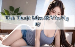 thủ thuật miso 88 vào ngay