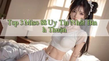 top 3 miso 88 uy tín nhất Bình Thuận
