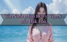 tốt nhất miso 88 uy tín nhất Đắk Lắk