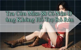 tra cứu miso 88 có nên dùng không hỗ trợ rõ ràng