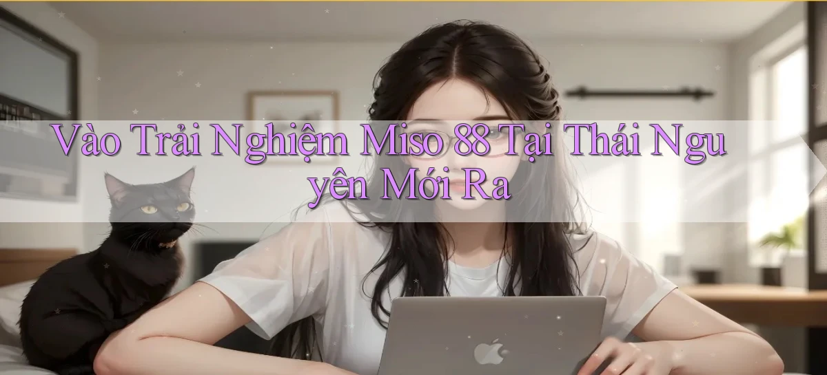 vào trải nghiệm miso 88 tại Thái Nguyên mới ra