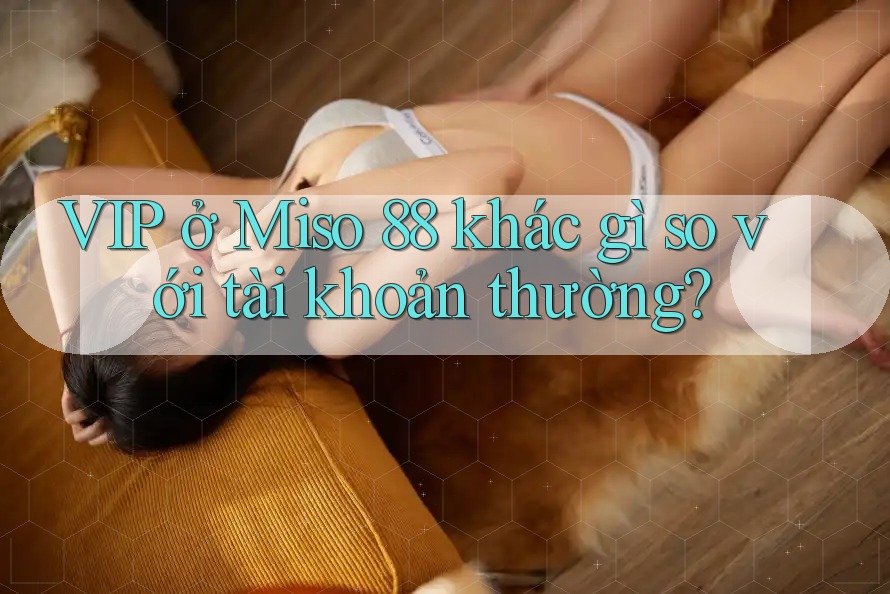 VIP ở Miso 88 khác gì so với tài khoản thường? VIP ở Miso 88 khác gì so với tài khoản thường?