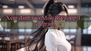 xem đánh giá miso 88 group telegram